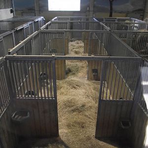 Ostrich Boxes - Zooparc de Beauval - 03/2022