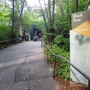 Aug. 2022 - North America: Prairie - Black Bear Viewing