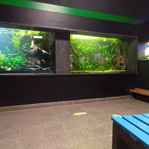 General View in the Aquarium/Terrarium House