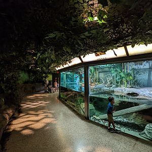 Reptile House - Large turtle tanks