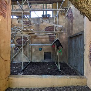 Australia and the Islands  - Gibbons indoor area