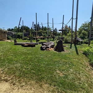 Congo - Bonobo outdoor space