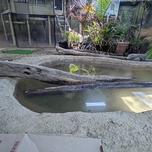 Australia and the Islands - Komodo dragon indoor area