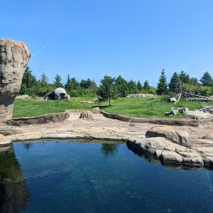 Polar Frontier - polar bear