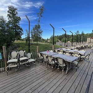 African Lion Exhibit
