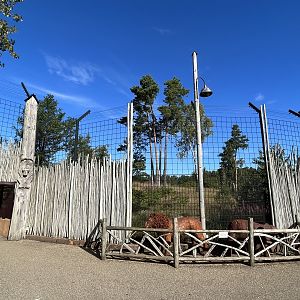 African Lion Exhibit