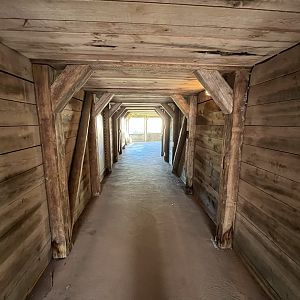African Lion Exhibit - visitor tunnel