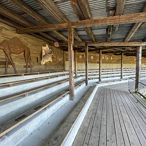 Cheetah Amphitheatre