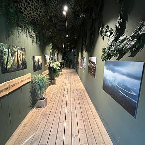 Orangutan/Langur House