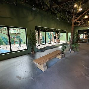 Orangutan/Langur House