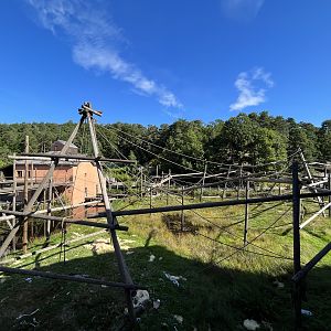 Bornean Orangutan/Javan Langur Exhibit