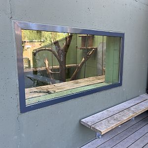 Orangutan/Langur House