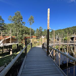 Orangutan/Langur Exhibits