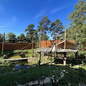 Bornean Orangutan Exhibit