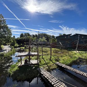 Bornean Orangutan/Javan Langur Exhibit