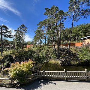 Yellow-cheeked Gibbon Exhibit