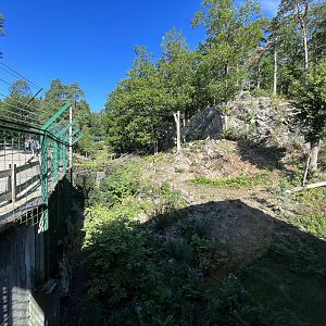 Amur Tiger Exhibit