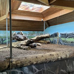 Amur Tiger Indoor Exhibit