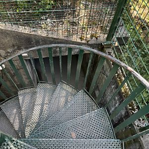 Amur Tiger Exhibit - steep stairs to tunnel