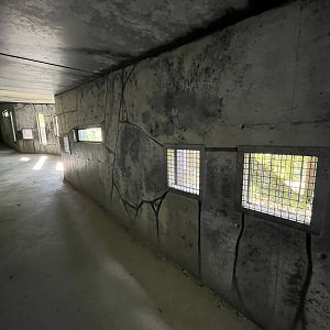 Amur Tiger Exhibit - visitor tunnel
