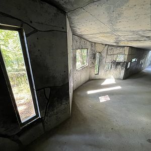 Amur Tiger Exhibit - visitor tunnel