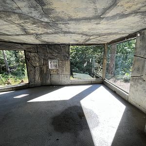 Amur Tiger Exhibit - visitor tunnel