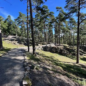 Walk Through Fallow Deer Exhibit