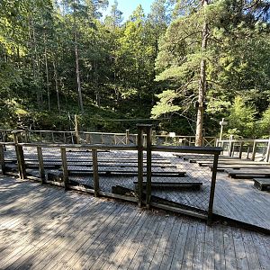 European Lynx Exhibit - seating area