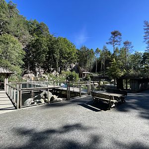 European Otter Exhibit