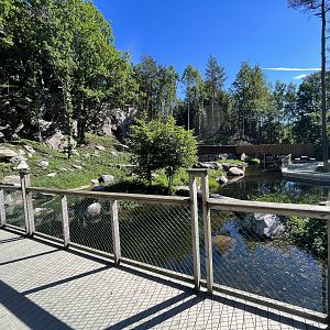 European Otter Exhibit
