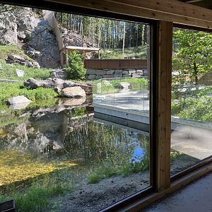 European Otter Exhibit
