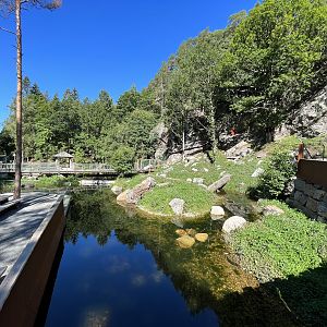 European Otter Exhibit