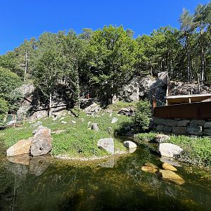 European Otter Exhibit