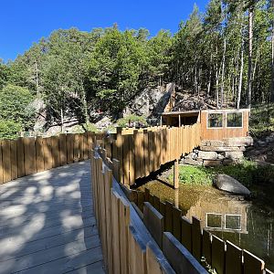 European Otter Exhibit