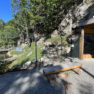European Otter Exhibit