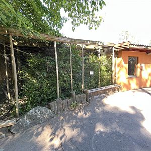 Golden Lion Tamarin Exhibit