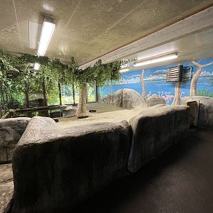 Flamingo Indoor Exhibit