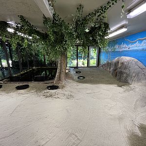 Flamingo Indoor Exhibit