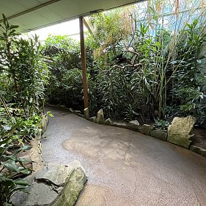 Jungle House - pathway