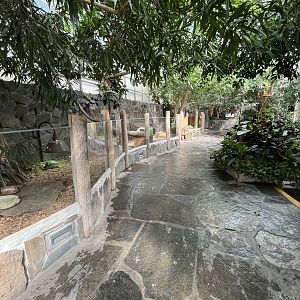 Radiated Tortoise Exhibit