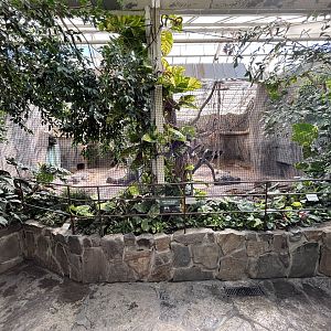 Chimpanzee Indoor Exhibit