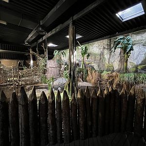 West African Crocodile Exhibit