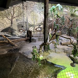 West African Crocodile Exhibit
