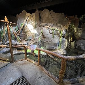 Red-eared Slider Exhibit