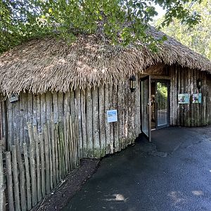 Lowland Tapir/Capybara House