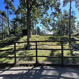 Lowland Tapir/Capybara Exhibit
