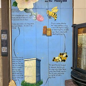 Sep. 2021 - Info on Honeybees (Stuckey Farm)