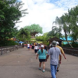 Bridge to Discovery Island at Disney's Animal Kingdom (2014)