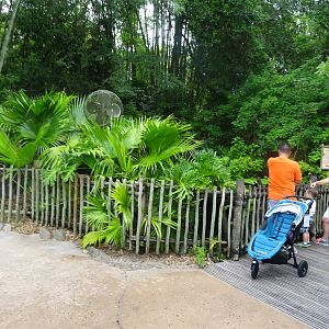 Paroon Shark Enclosure at Disney's Animal Kingdom (2014)