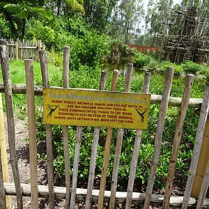 Gibbon Notice Signage at Disney's Animal Kingdom (2014)